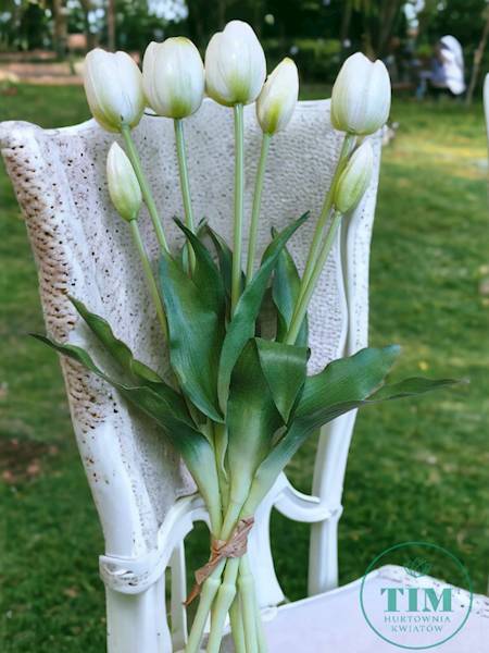TULIPAN BUKIET GUMOWANY TLRJ073 BIAŁY