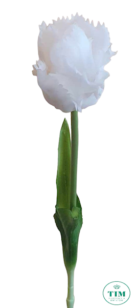 TULIPAN GAŁĄZKA GUMOWANY PAPUZI TL15 MIX KOLOR