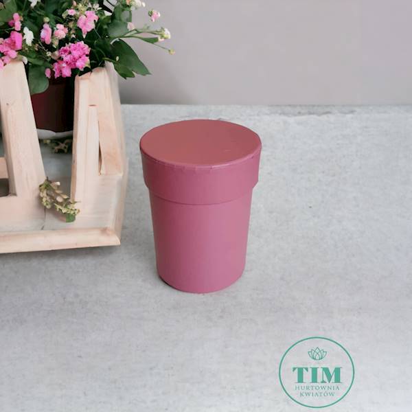 FLOWER BOX WIŚNIA