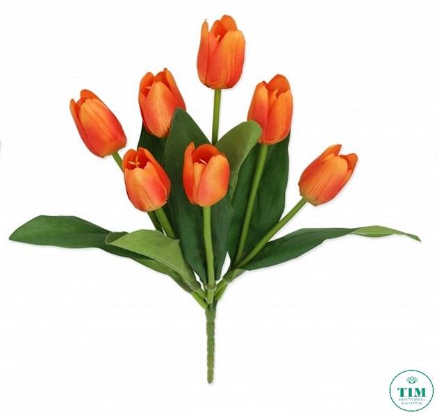 TULIPAN BUKIET 010019 MIX KOLOR
