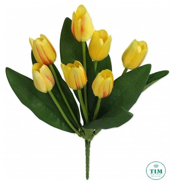 TULIPAN BUKIET 010019 MIX KOLOR