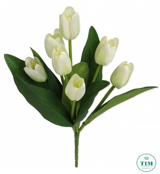 TULIPAN BUKIET 010019 MIX KOLOR
