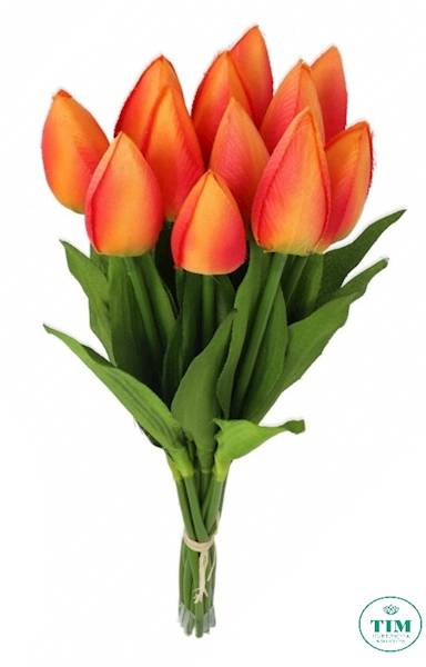 TULIPAN BUKIET 010036 MIX KOLOR