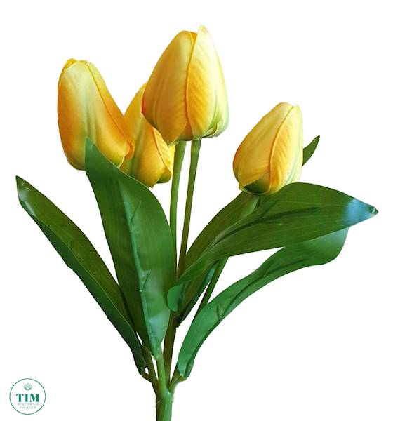 TULIPAN BUKIET KX15167 MIX KOLOR