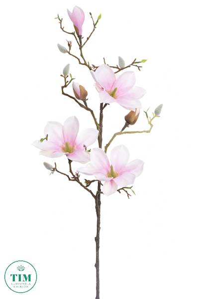 MAGNOLIA GAŁĄZKA SUN753 RÓŻOWY JASNY