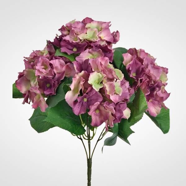 HORTENSJA BUKIET SUN306A MIX3 MIX KOLOR