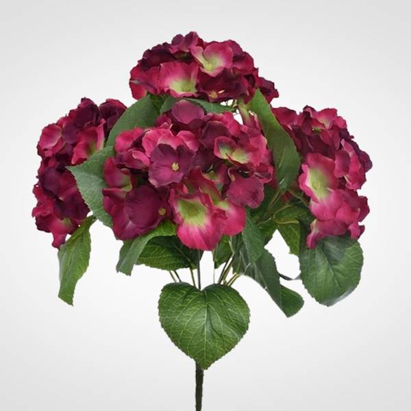 HORTENSJA BUKIET SUN306A MIX3 MIX KOLOR