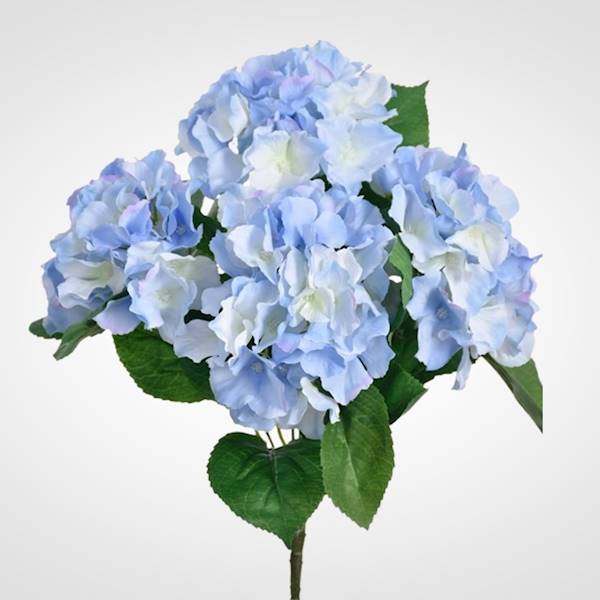 HORTENSJA BUKIET SUN306A MIX3 MIX KOLOR
