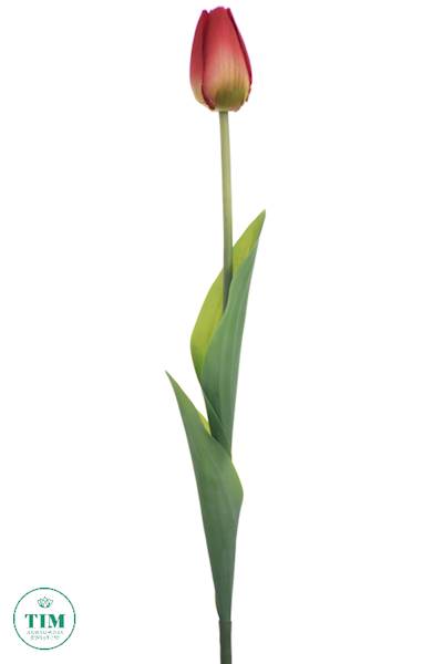 TULIPAN GAŁĄZKA X12 ART259 CZERWONY