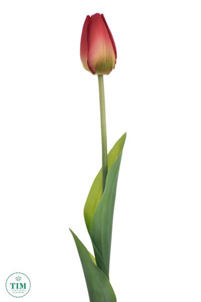TULIPAN GAŁĄZKA X12 ART259 CZERWONY