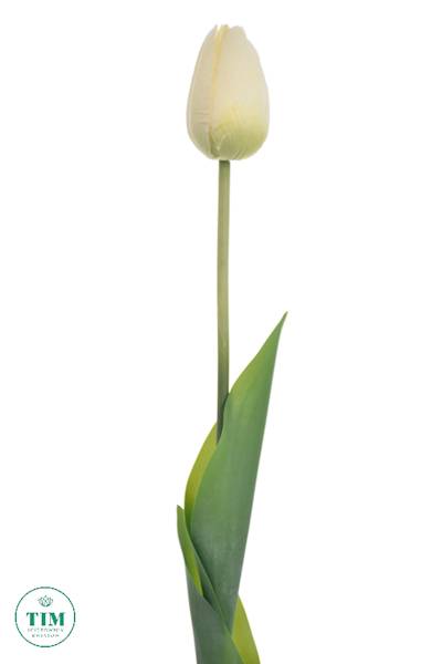 TULIPAN GAŁĄZKA X12 ART259 KREMOWY