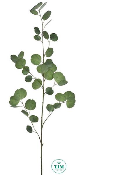 EUKALIPTUS GAŁĄZKA GUMOWANY KLM1150 ZIELONY