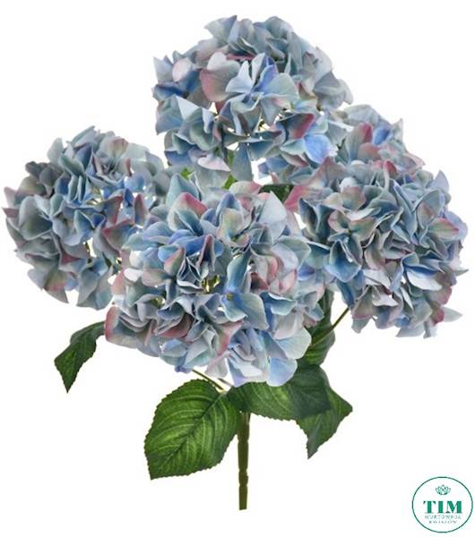 HORTENSJA BUKIET KLM1153 MIX1 MIX KOLOR
