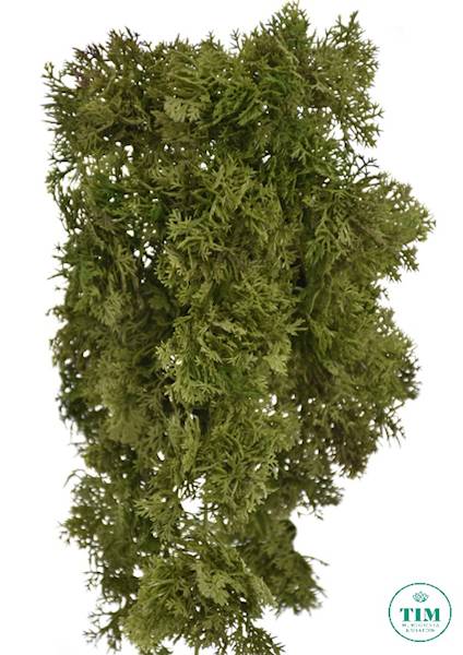 MECH ZWISAJĄCY ECO003 ZIELONY