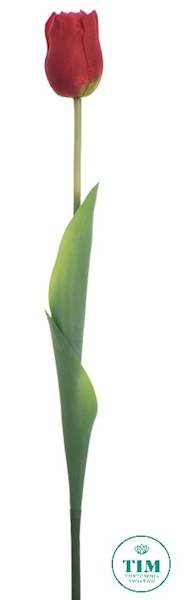 TULIPAN GAŁĄZKA X12 ART258 CZERWONY