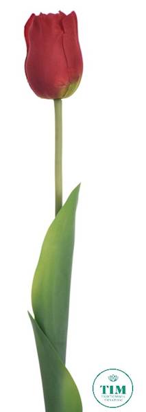 TULIPAN GAŁĄZKA X12 ART258 CZERWONY