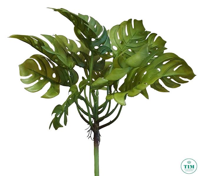 MONSTERA BUKIET GUMOWANY JUN021 ZIELONY
