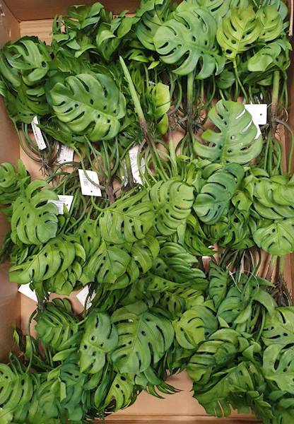 MONSTERA BUKIET GUMOWANY JUN021 ZIELONY
