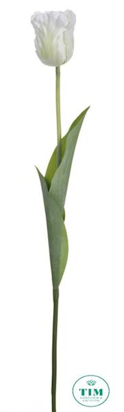 TULIPAN GAŁĄZKA X12 ART260 BIAŁY