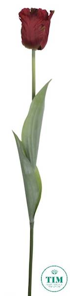 TULIPAN GAŁĄZKA X12 ART260 CZERWONY