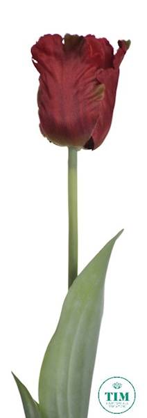 TULIPAN GAŁĄZKA X12 ART260 CZERWONY