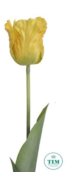TULIPAN GAŁĄZKA X12 ART260 ŻÓŁTY