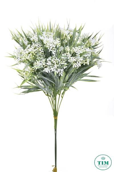 CHLOROFITUM DODATEK X12 ERA1020 BIAŁY