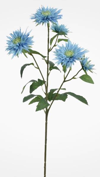 ASTER GAŁĄZKA SUN662 TURKUSOWY