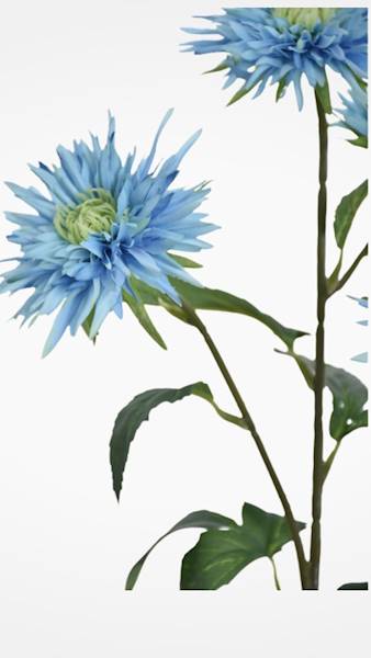 ASTER GAŁĄZKA SUN662 TURKUSOWY