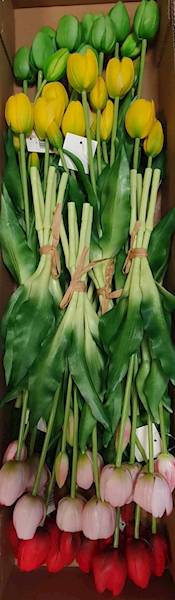 TULIPAN BUKIET GUMOWANY TLJY01 MIX KOLOR