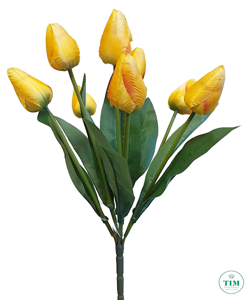 TULIPAN BUKIET TL04 MIX KOLOR
