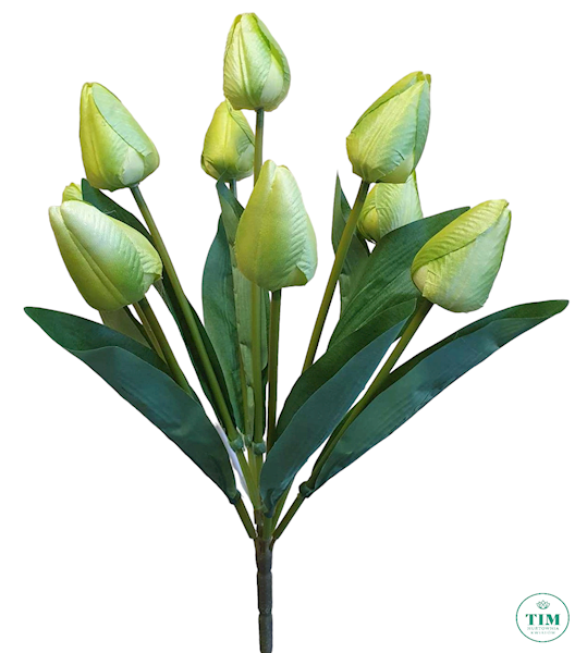 TULIPAN BUKIET TL04 MIX KOLOR