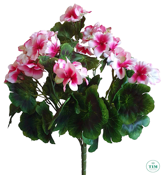 PELARGONIA BUKIET JTTZK9 MIX KOLOR