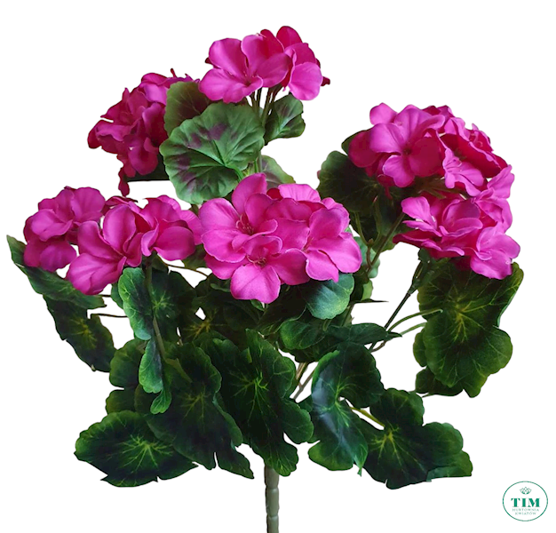 PELARGONIA BUKIET JTTZK9 MIX KOLOR