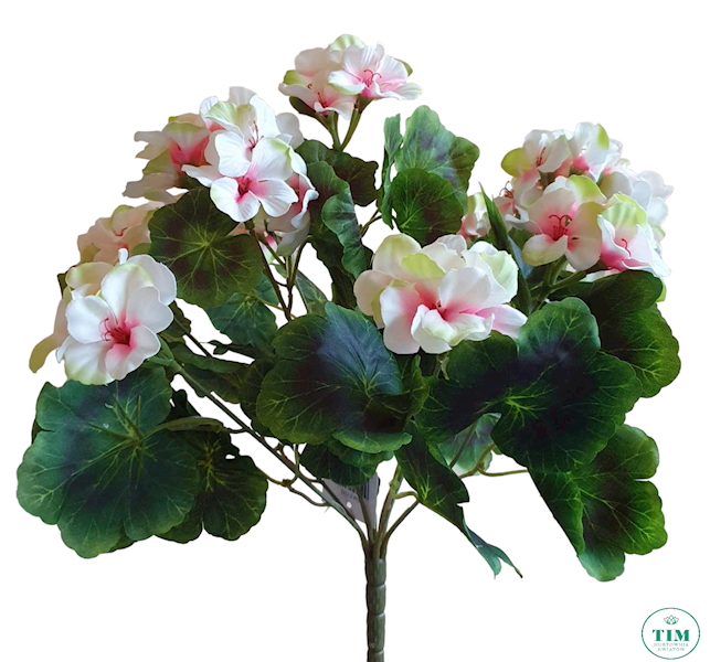 PELARGONIA BUKIET JTTZK9 MIX KOLOR