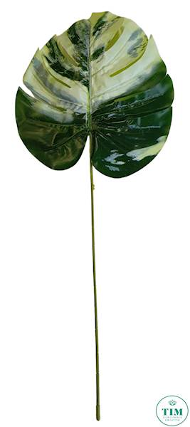 LIŚĆ MONSTERA GUMOWANY X12 18376 ZIELONY BIAŁY