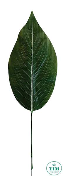 LIŚĆ HOSTA X12 VIP555410 ZIELONY