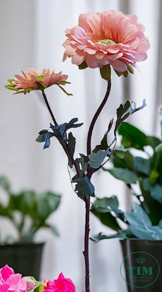 GERBERA GAŁĄZKA TRD200201 MIX KOLOR