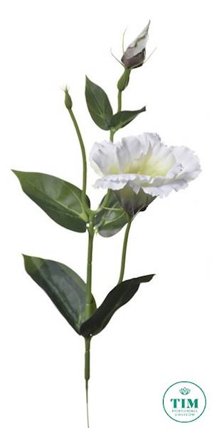 EUSTOMA PIK X12 SUN357 ZIELONKAWY