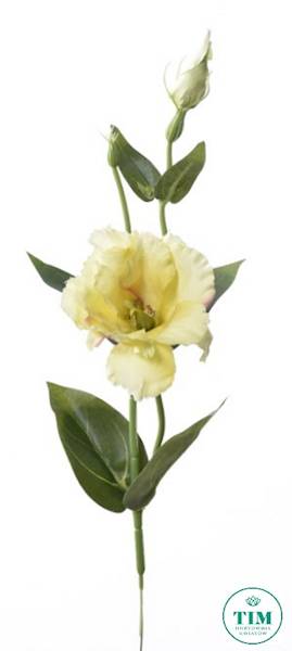 EUSTOMA PIK X12 SUN357 ŻÓŁTY