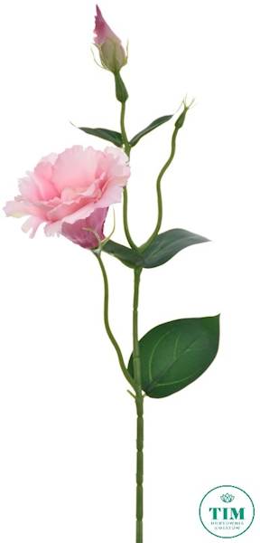 EUSTOMA PIK X12 SUN357 RÓŻOWY