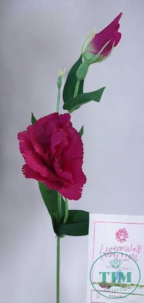 EUSTOMA PIK X12 SUN357 FUKSJA