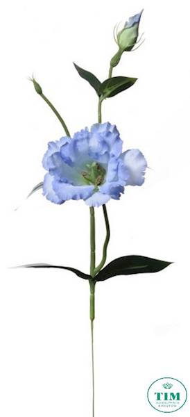 EUSTOMA PIK X12 SUN357 BŁĘKITNY
