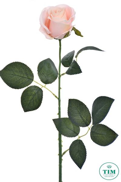 RÓŻA GAŁĄZKA ART004 BRZOSKWINIA