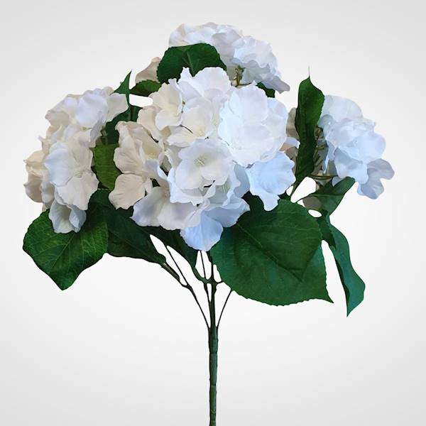 HORTENSJA BUKIET SUN306A MIX1 MIX KOLOR