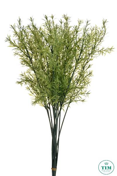 ASPARAGUS GAŁĄZKA X12 ART256 ZIELONY