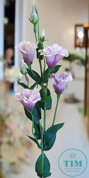 EUSTOMA GAŁĄZKA SUN345 PUDROWY RÓŻ
