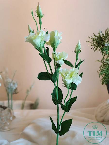 EUSTOMA GAŁĄZKA SUN345 ZIELONY JASNY
