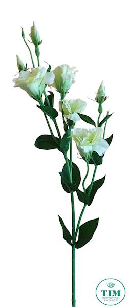 EUSTOMA GAŁĄZKA SUN345 ZIELONY JASNY
