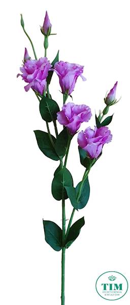 EUSTOMA GAŁĄZKA SUN345 PURPUROWY JASNY